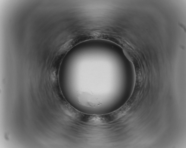 X0000095910611200801181357