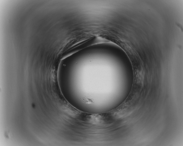 X0000095910612200801181357