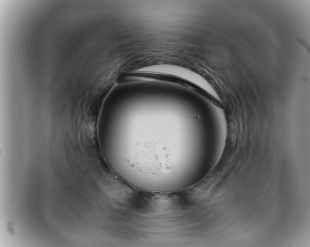 X0000095910613200801181357