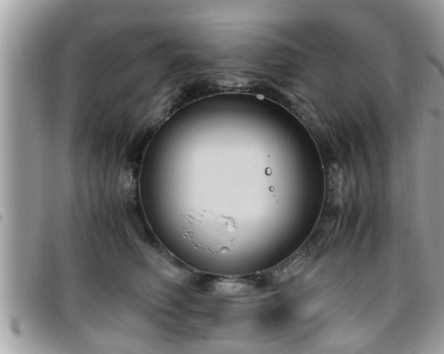 X0000095910614200801181357