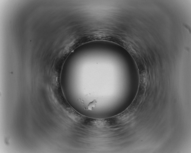 X0000095910615200801181357