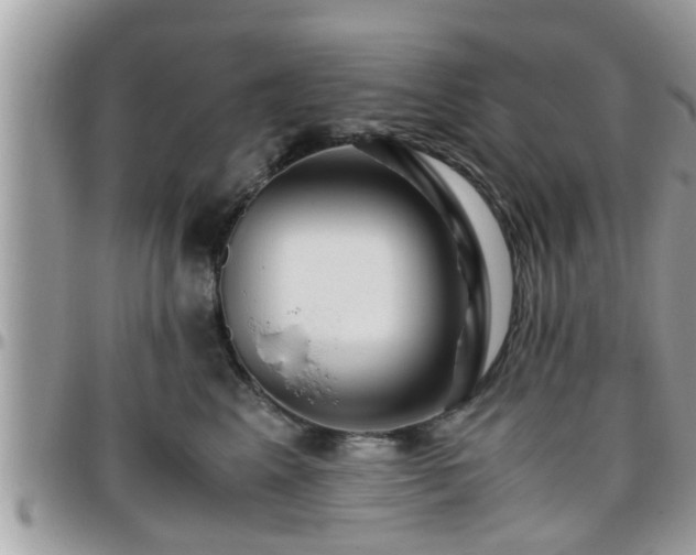 X0000095910617200801181357