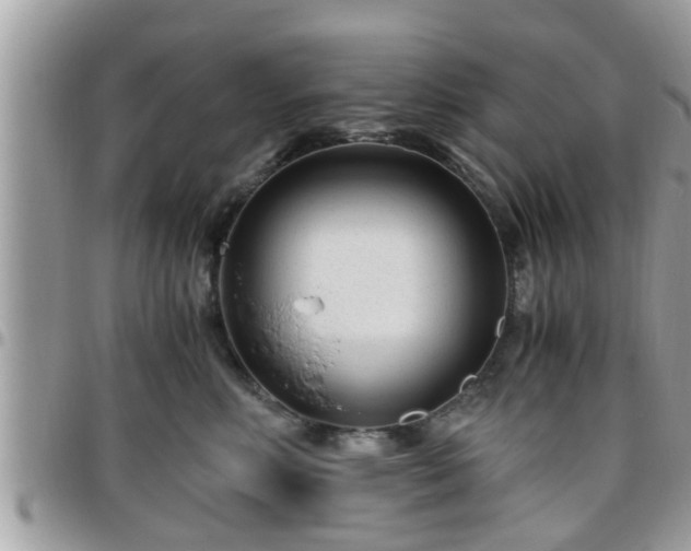 X0000095910618200801181357