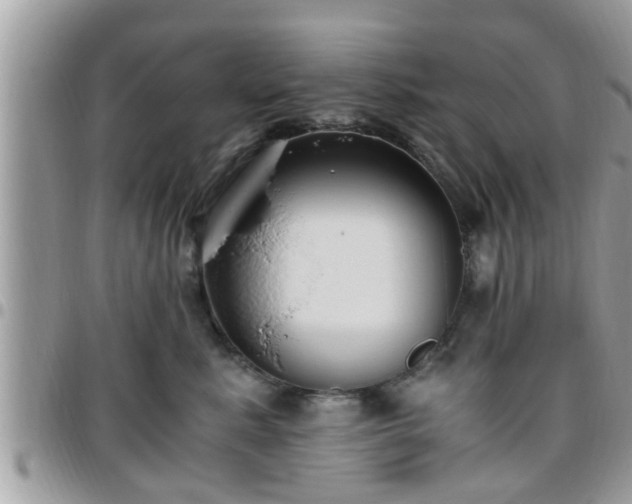 X0000095910619200801181357