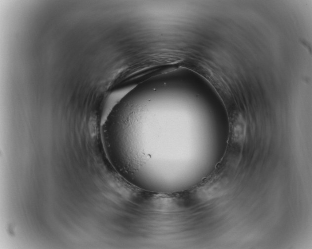 X0000095910620200801181357