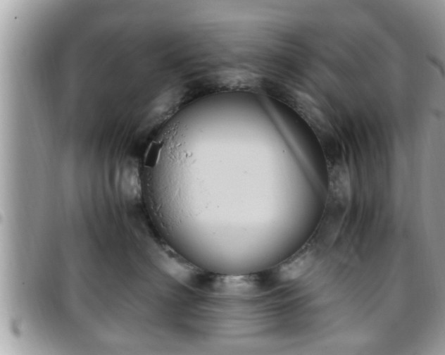 X0000095910622200801181357