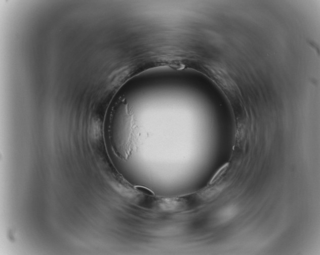 X0000095910623200801181357