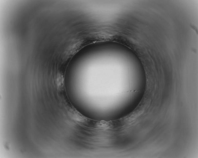 X0000095910624200801181357