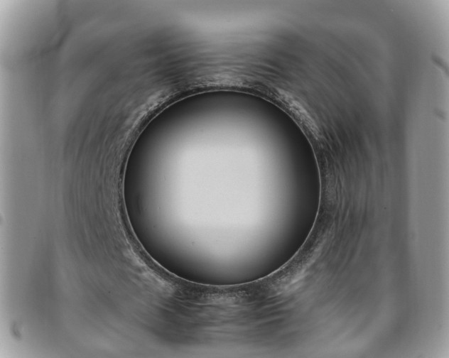 X0000095910625200801181356