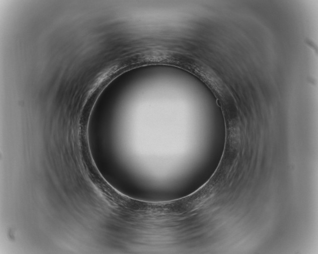 X0000095910626200801181356