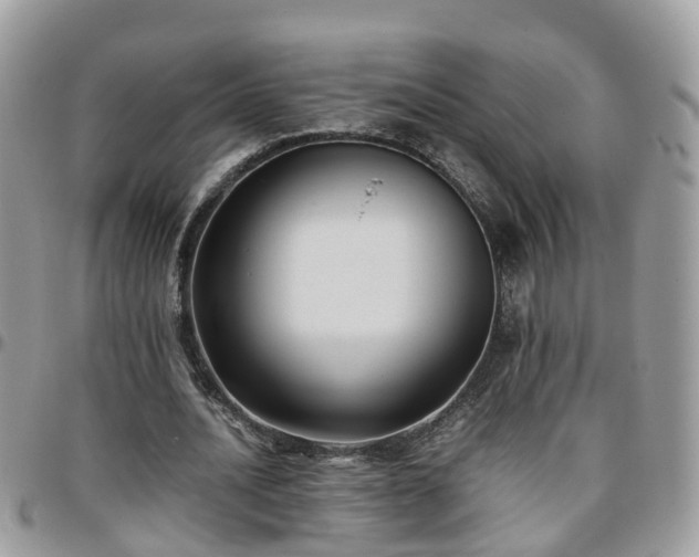 X0000095910628200801181356