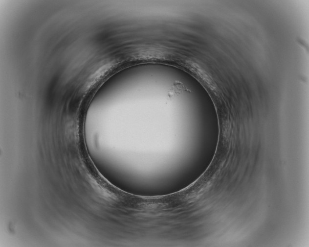 X0000095910629200801181356