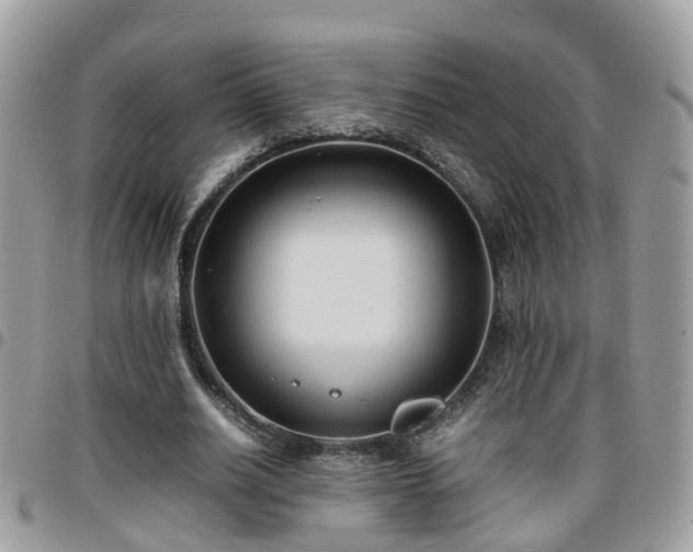 X0000095910630200801181356