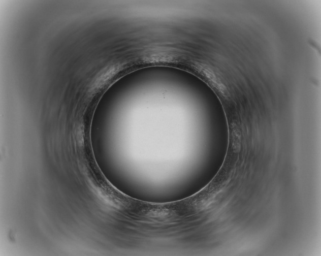 X0000095910631200801181356