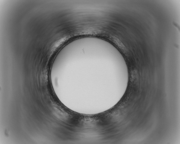 X0000095910632200801181356