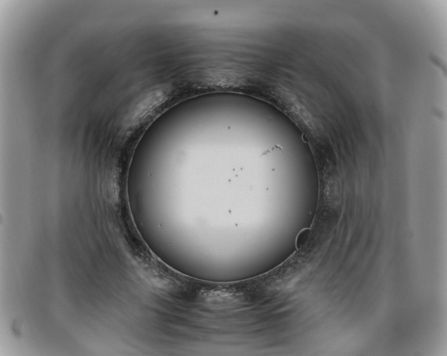 X0000095910635200801181356