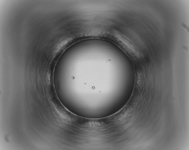 X0000095910636200801181356