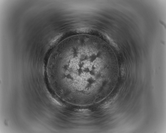 X0000095910637200801181356