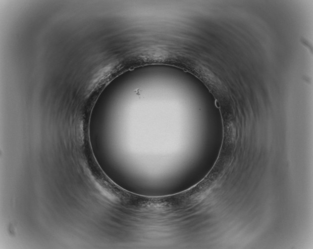 X0000095910638200801181356