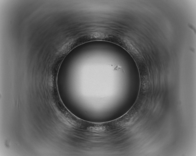 X0000095910639200801181356