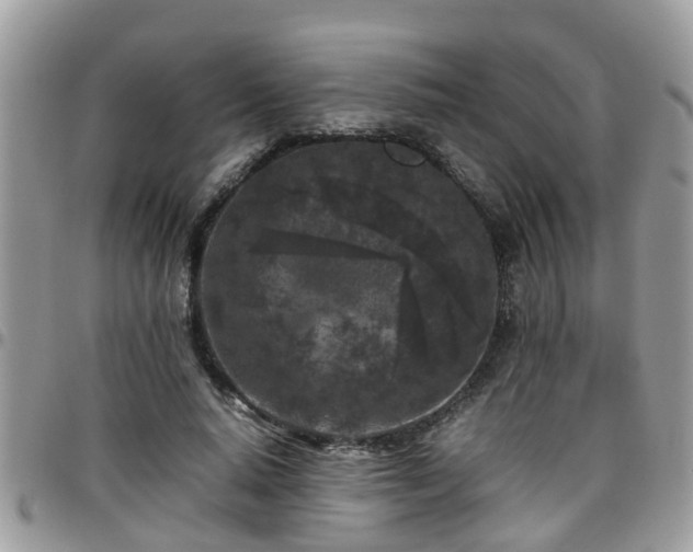 X0000095910640200801181356