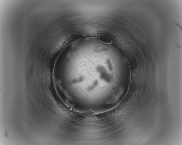 X0000095910642200801181356