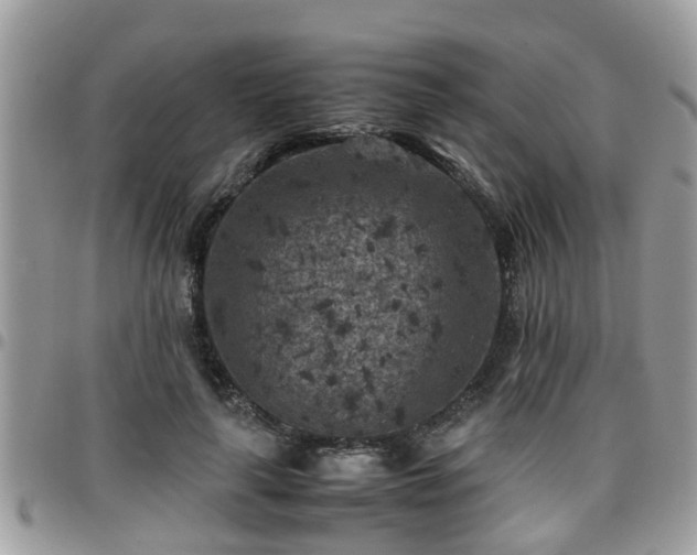 X0000095910643200801181356