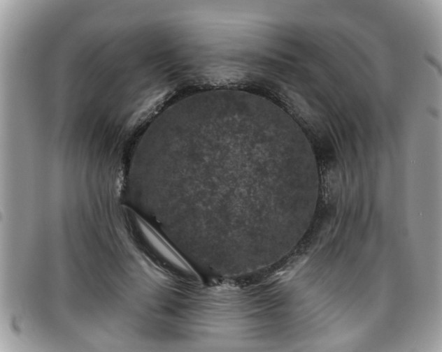 X0000095910644200801181356