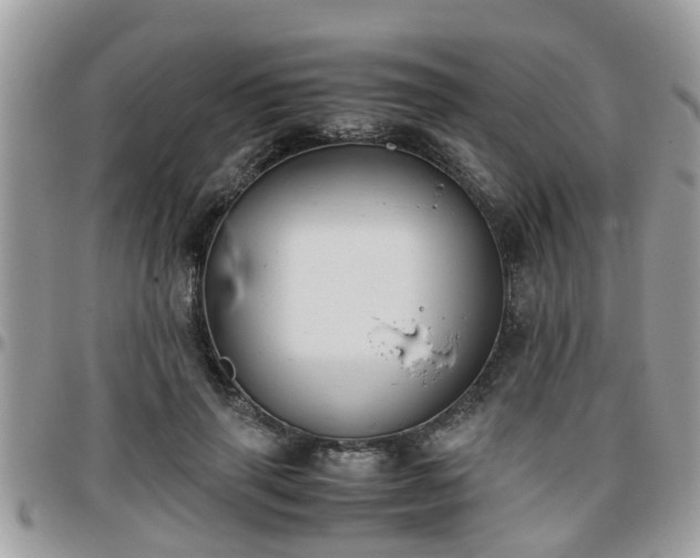 X0000095910645200801181356