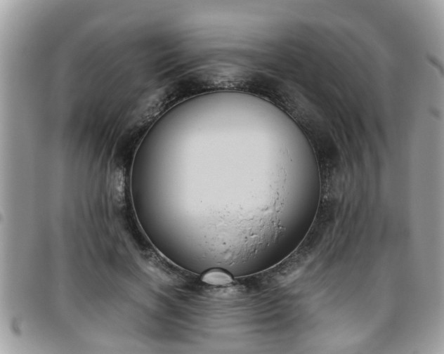 X0000095910646200801181357