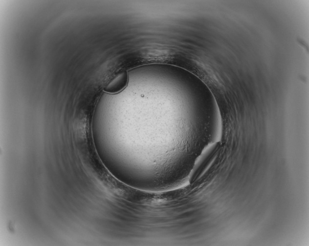 X0000095910647200801181357