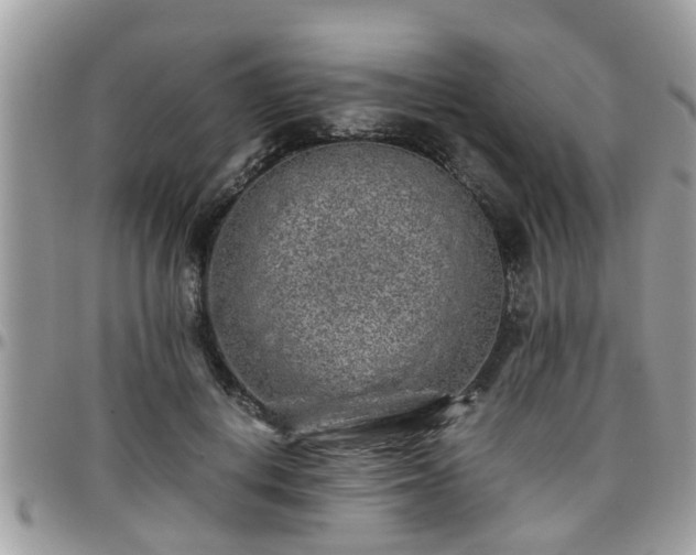 X0000095910648200801181357