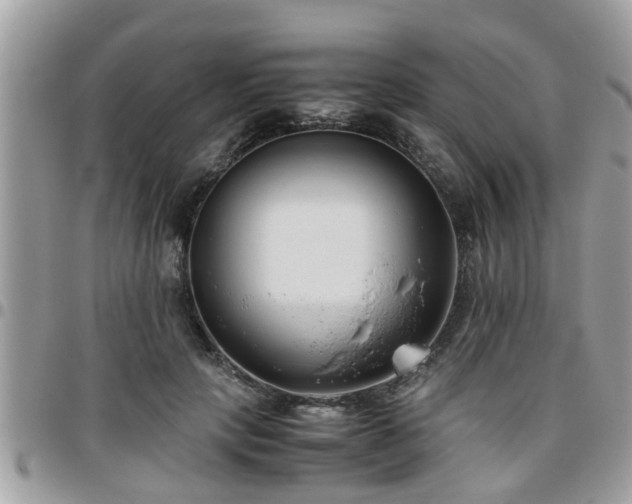 X0000095910649200801181357