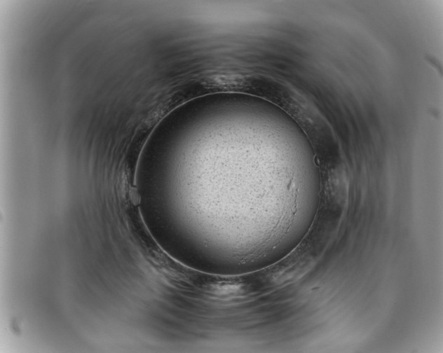 X0000095910651200801181357