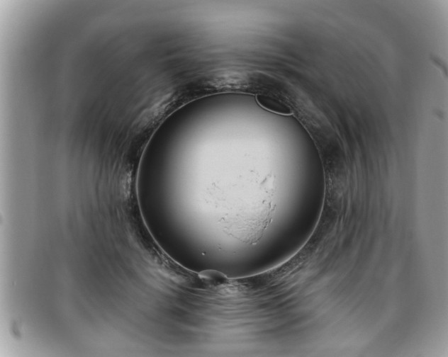 X0000095910652200801181357