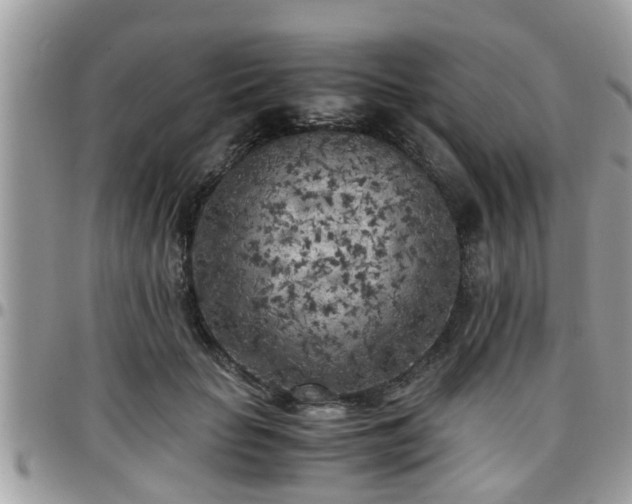 X0000095910653200801181357