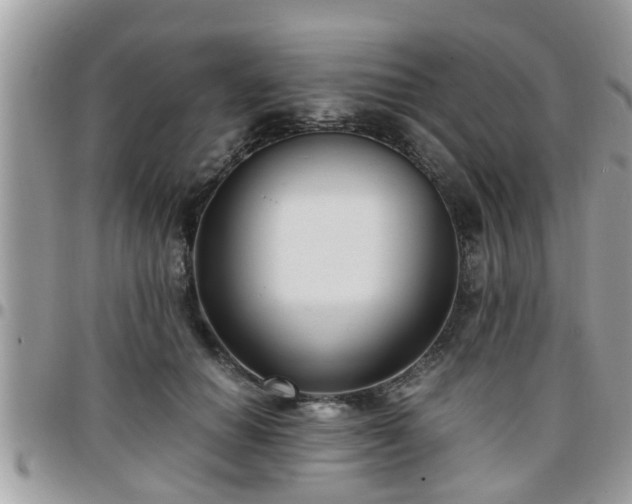 X0000095910654200801181357