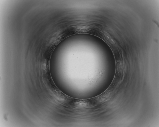 X0000095910655200801181357