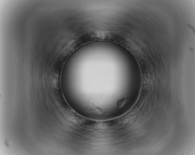 X0000095910656200801181357