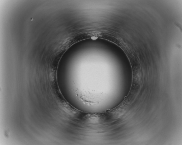 X0000095910658200801181357