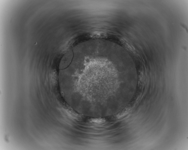 X0000095910659200801181357