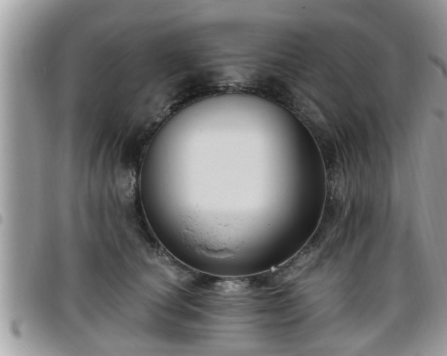 X0000095910660200801181357