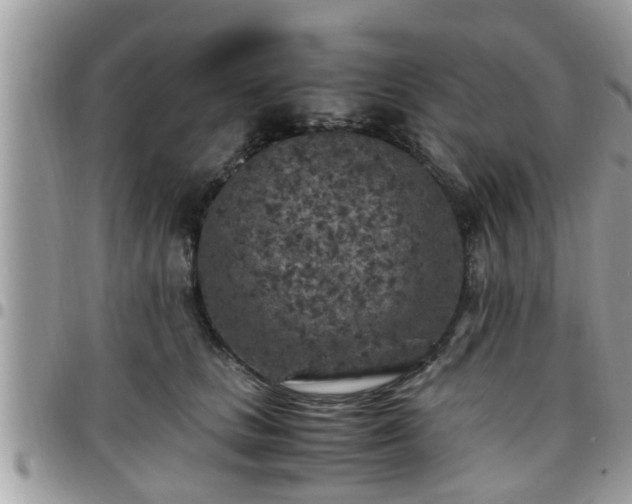 X0000095910661200801181357