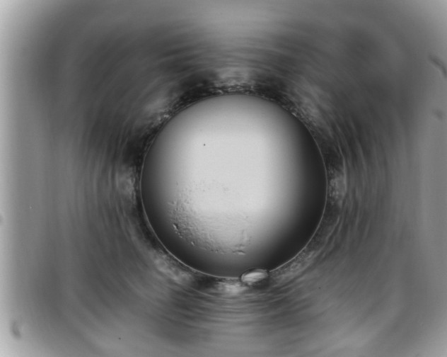 X0000095910662200801181357