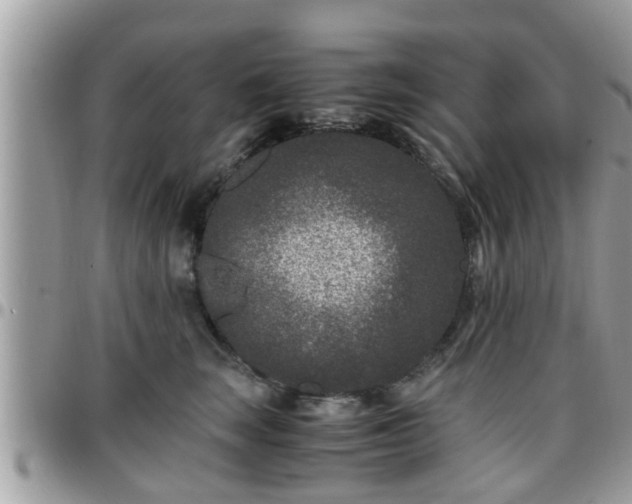 X0000095910663200801181357