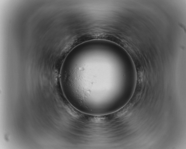 X0000095910664200801181357