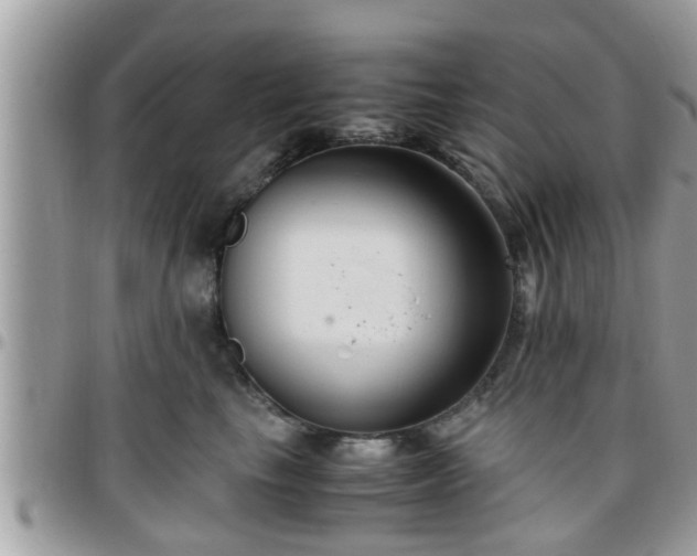 X0000095910665200801181357