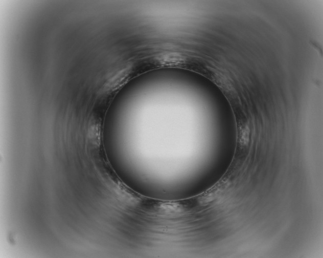 X0000095910666200801181357