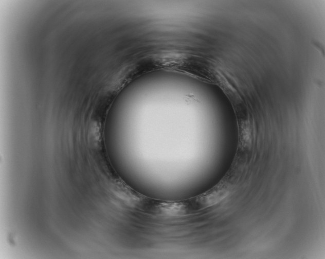 X0000095910667200801181357