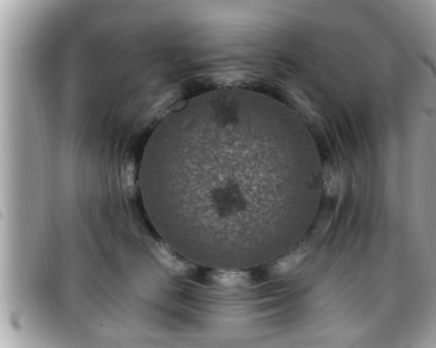X0000095910670200801181357